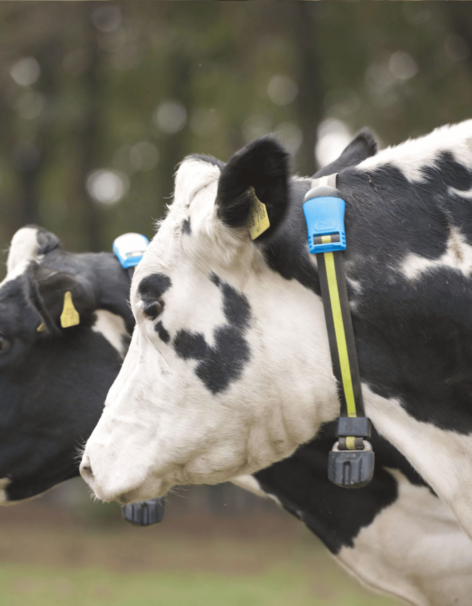 Monitoreo y Automatización