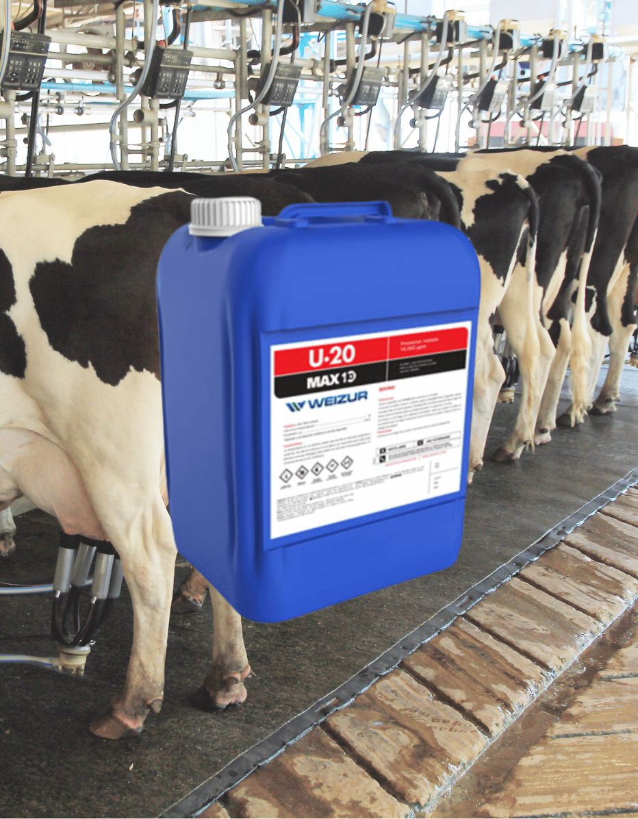 Higiene y Desinfección