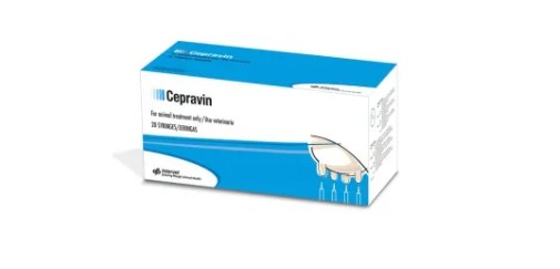 CEPRAVIN 1X20 SYR/LOTE 4190