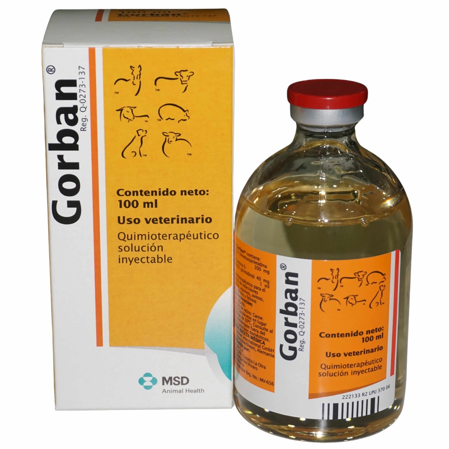 GORBAN 24% 100ML