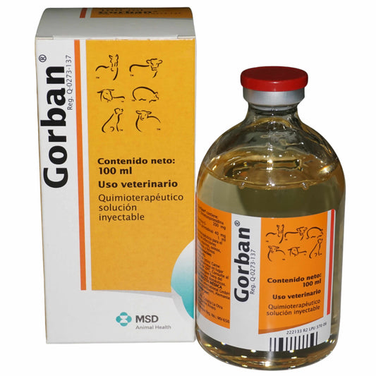 GORBAN 24% 100ML