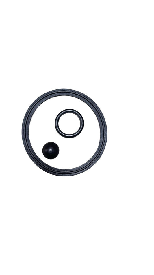 KIT DE REPARACIÓN DE BOMBA DE LECHE INOX Y PLÁSTICO 3500L