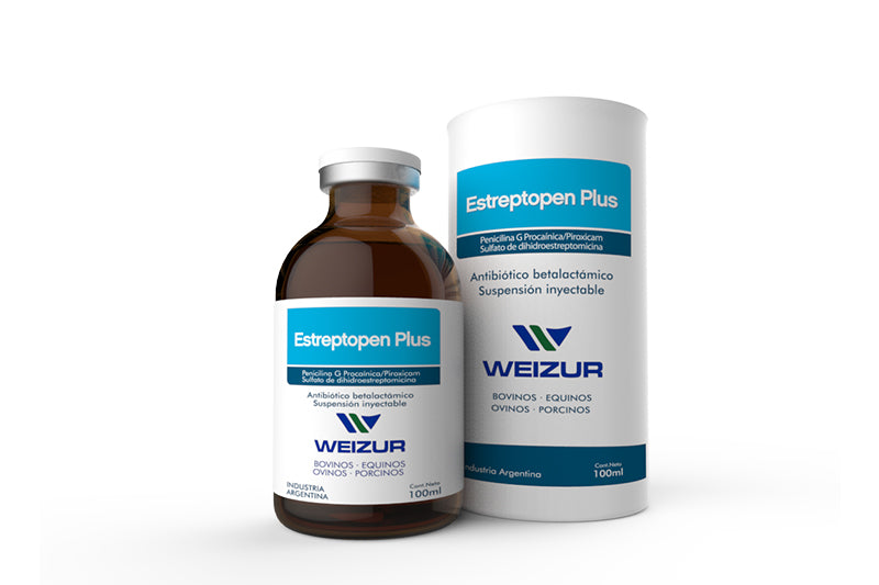 ESTREPTOPEN PLUS 100 ML